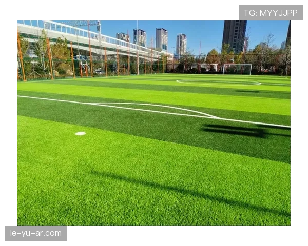 足球青训系统升级成效显著，年轻球员表现亮眼引关注